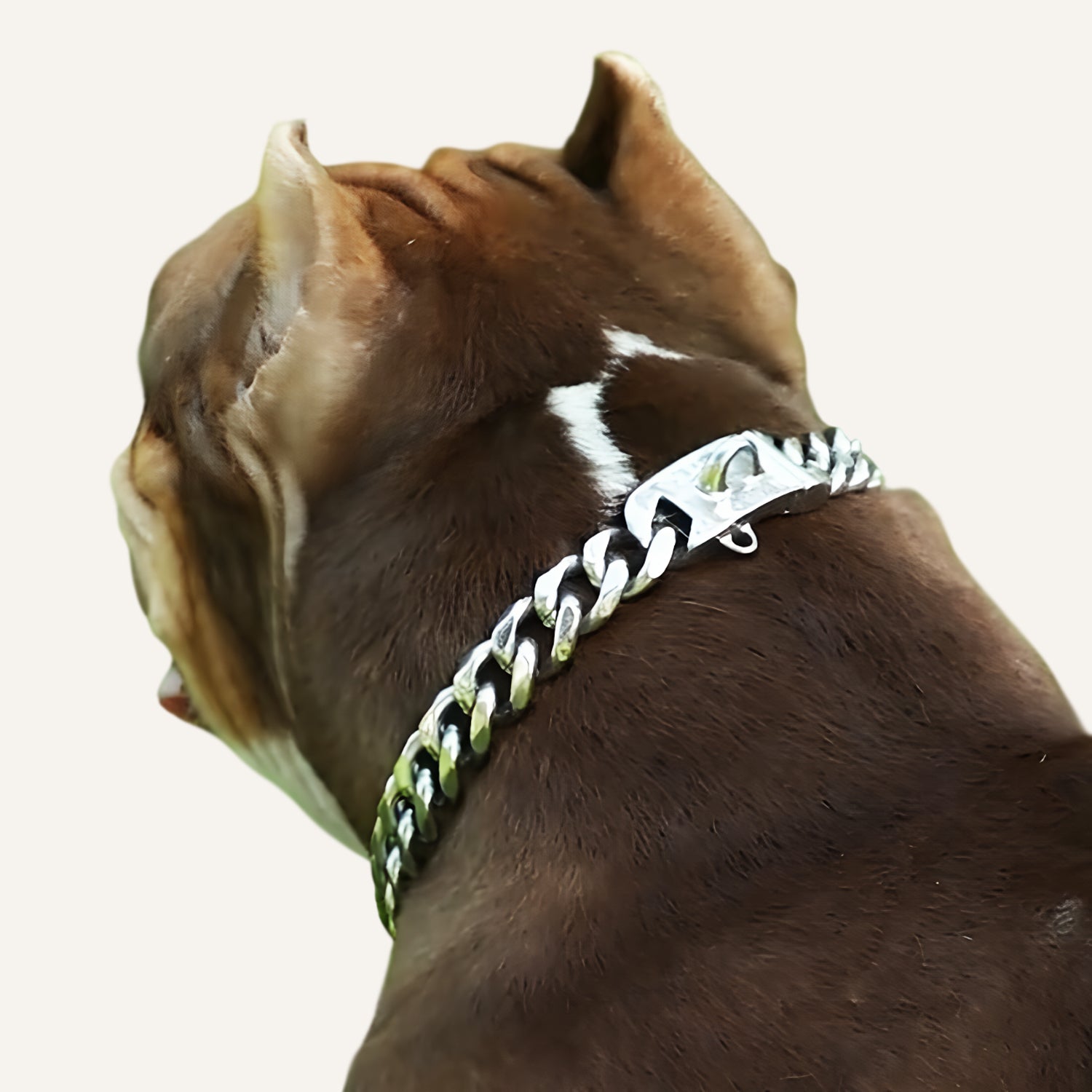 Cuban Chain Necklace