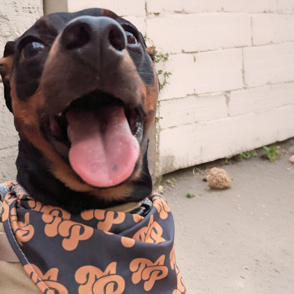 THE MP BANDANA #4