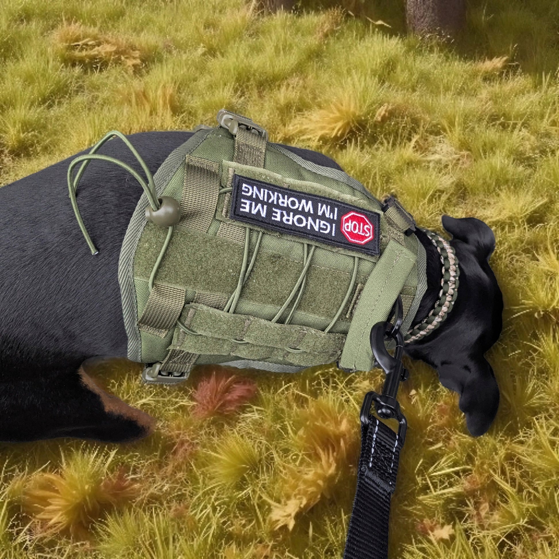 Tiny Punk Army Harness
