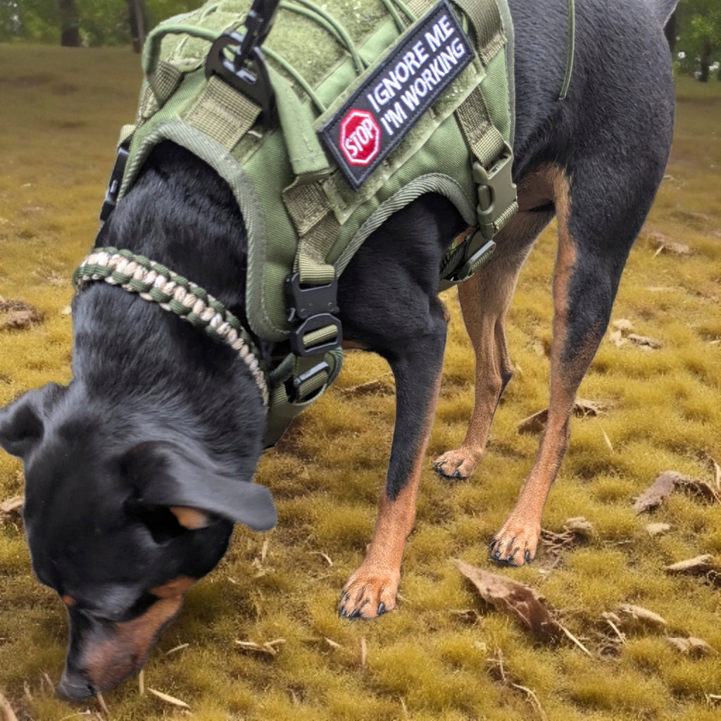 Tiny Punk Army Harness