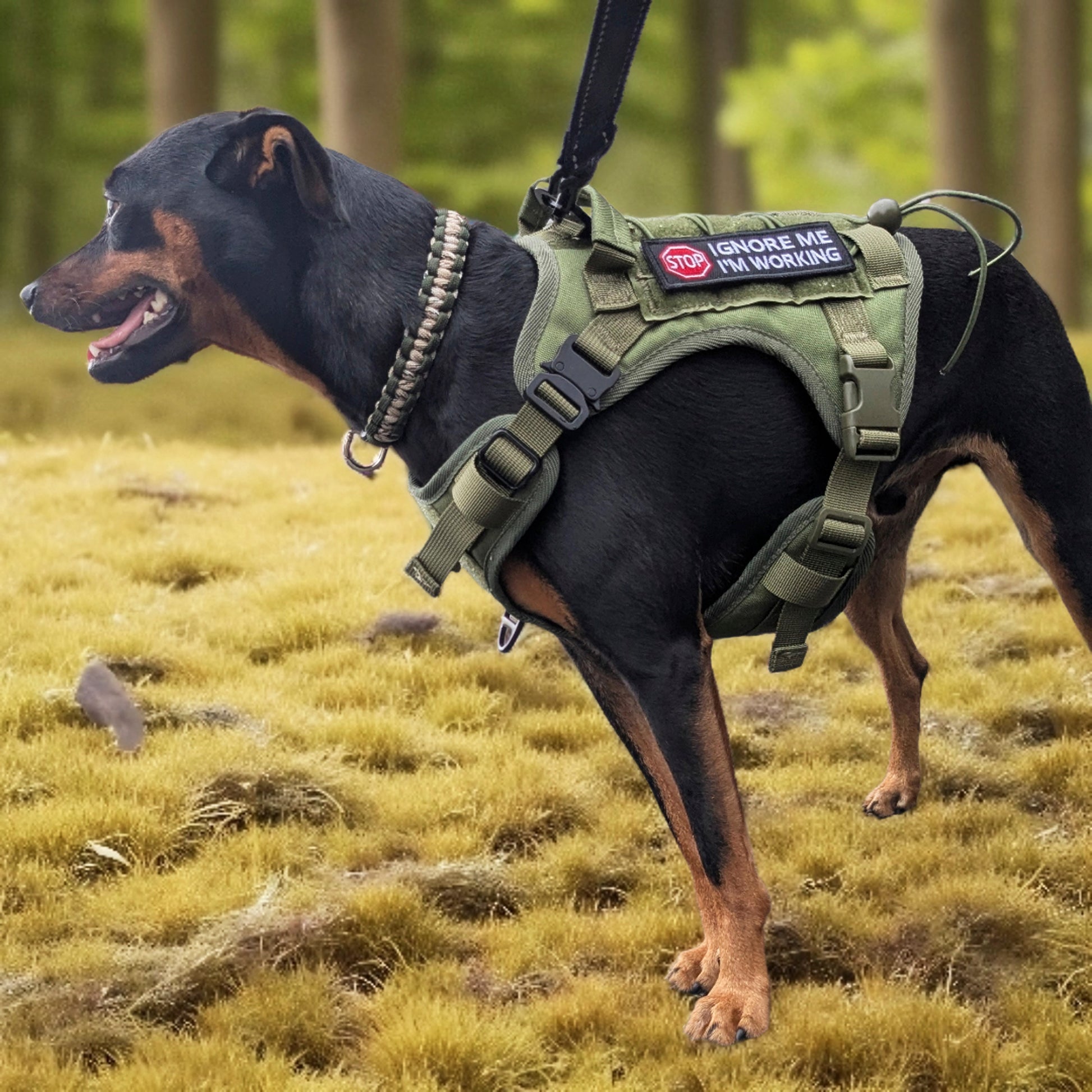 Tiny Punk Army Harness