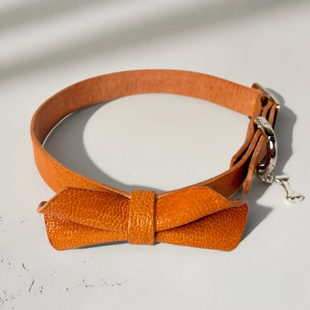 Collar Goatskin with ribbon,charms【Size order】