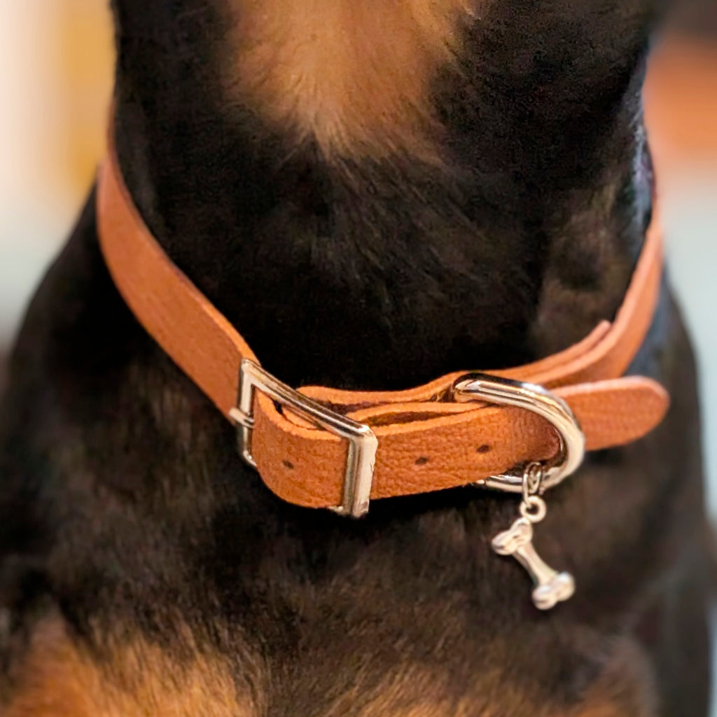 Collar Goatskin with ribbon,charms【Size order】